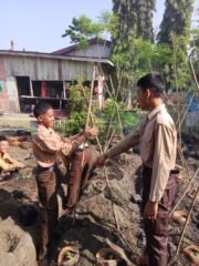 IMG-20240911-WA0065