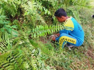 IMG-20240911-WA0073