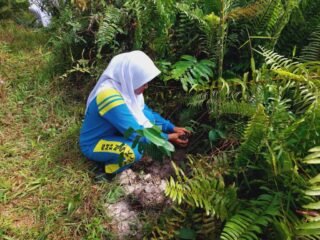 IMG-20240911-WA0085