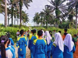 IMG-20240911-WA0087