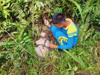 IMG-20240911-WA0088