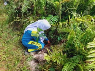 IMG-20240911-WA0089