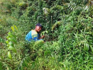 IMG-20240911-WA0090